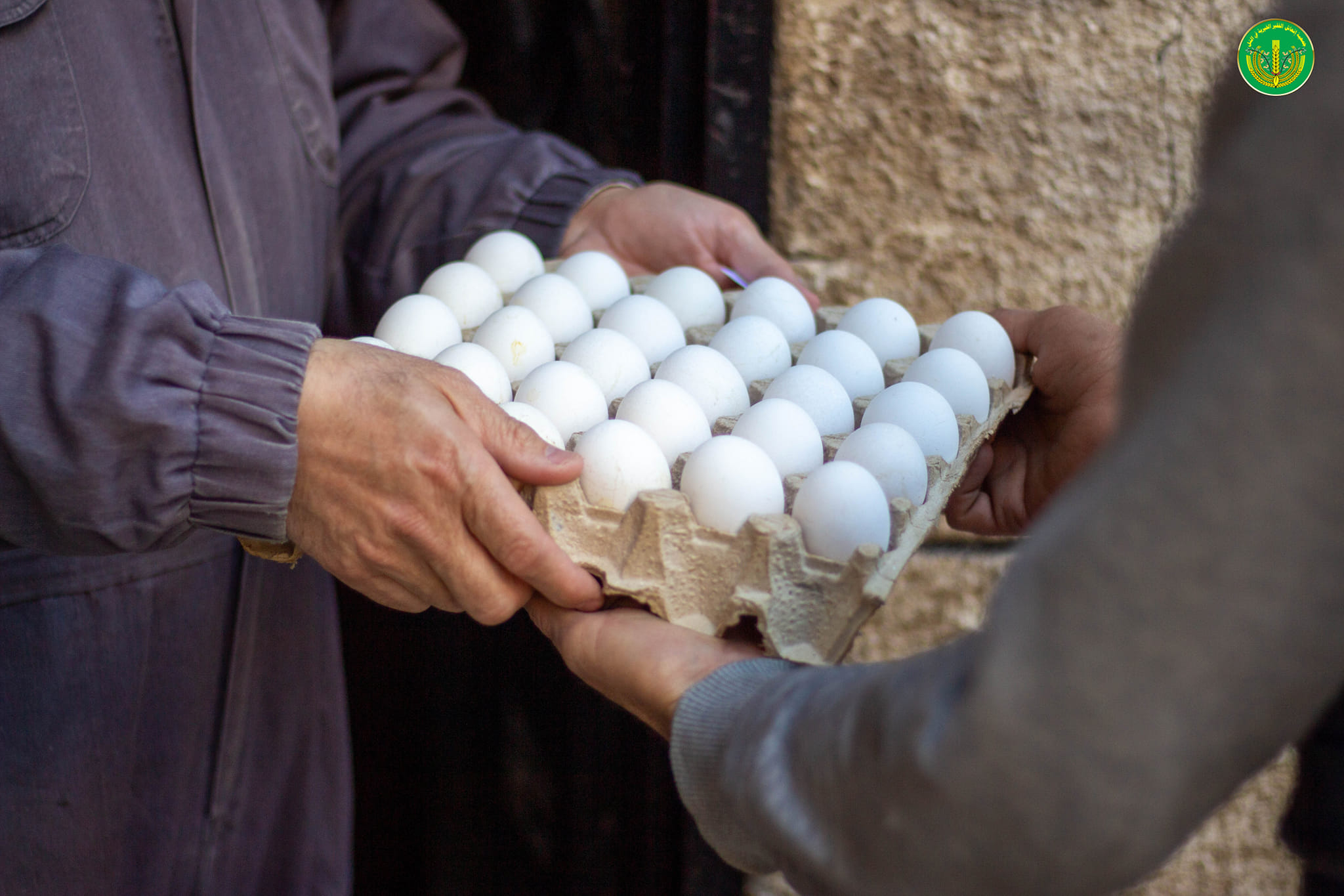 💚✨. الانتهاء من توزيع المساعدات المالية والعينية لشهر 12 للمدرجين والأيتام في الجمعية